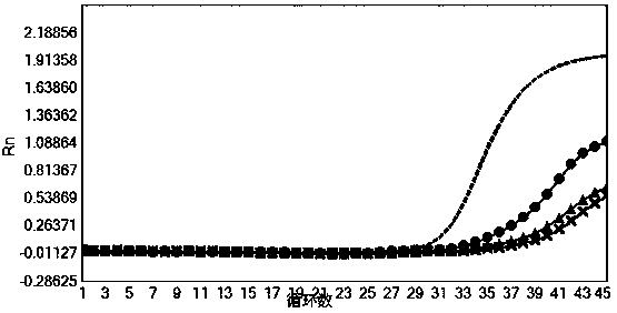 Nucleic acid composition and test kit for blood screening