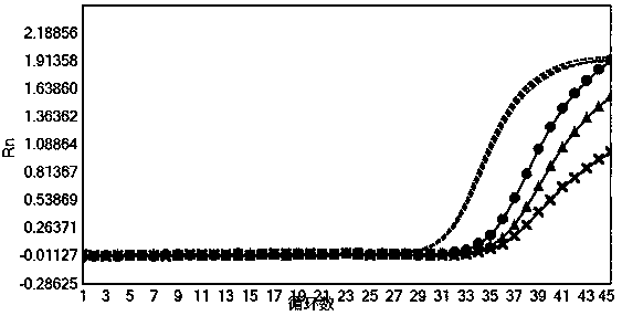 Nucleic acid composition and test kit for blood screening