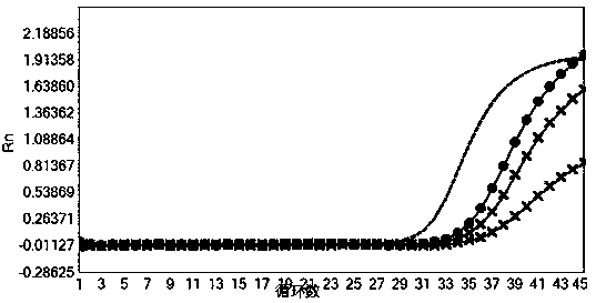 Nucleic acid composition and test kit for blood screening