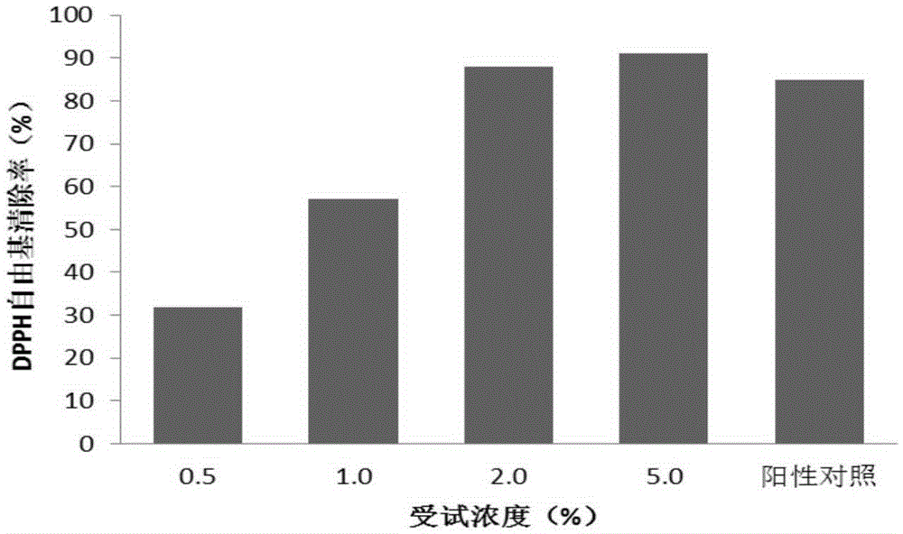 Externally-applied traditional Chinese medicine composition with effect on whitening skin, preparation as well as preparation method and application thereof