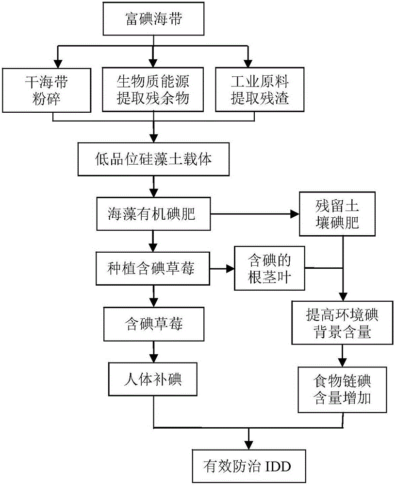 Planting method for iodine-containing strawberries