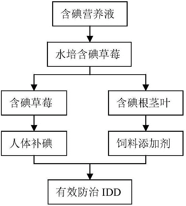 Planting method for iodine-containing strawberries