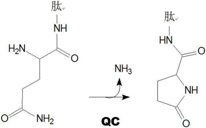 Inhibitors of glutaminyl cyclase