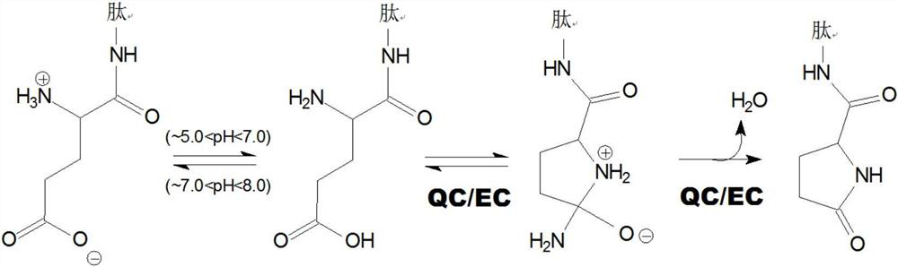 Inhibitors of glutaminyl cyclase