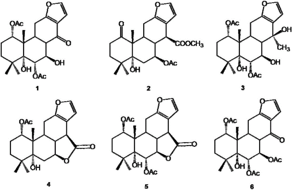 Extract of diterpene-containing white flower cacalia seeds, extracting method of extract and application of extract