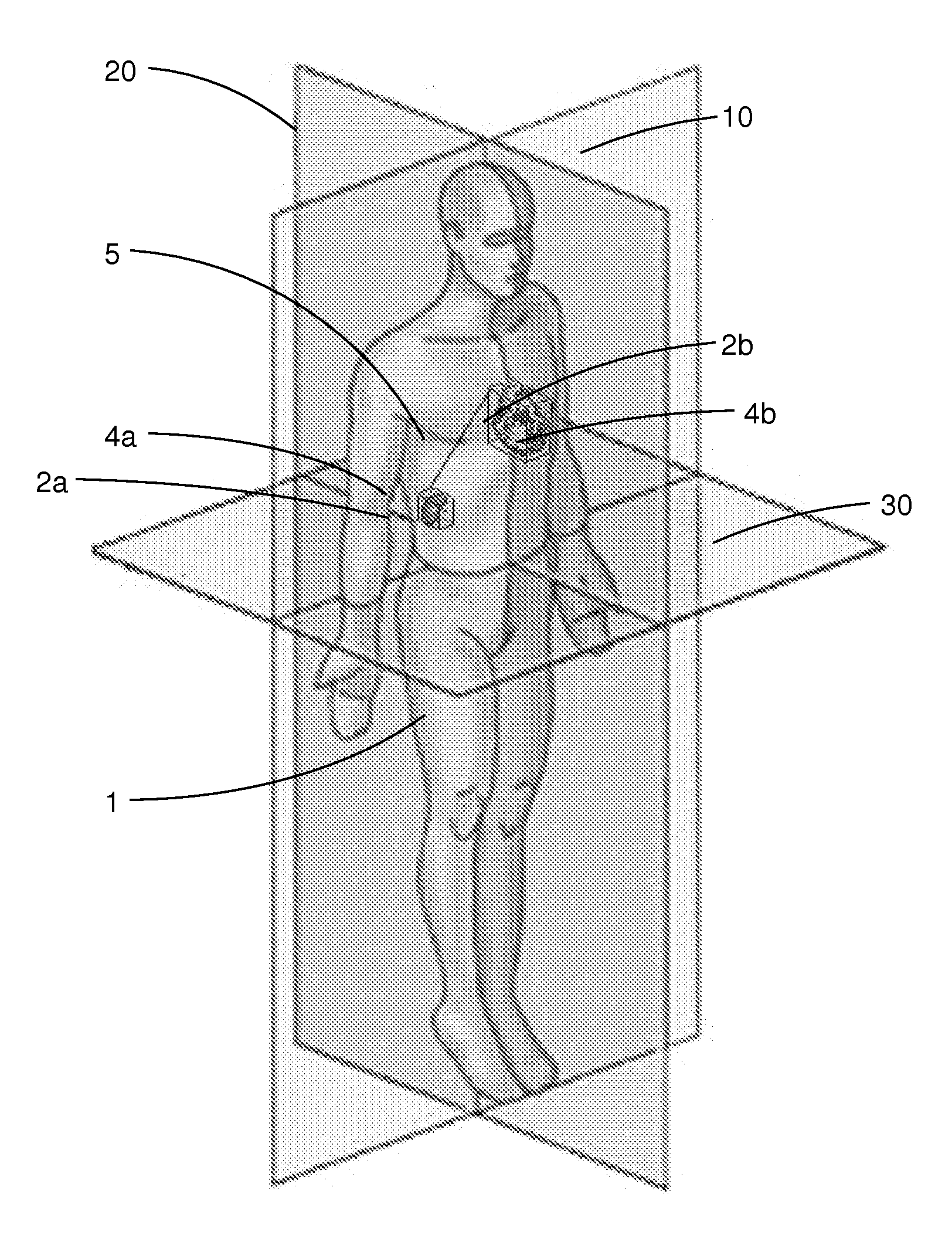 Cartesian human morpho-informatic system