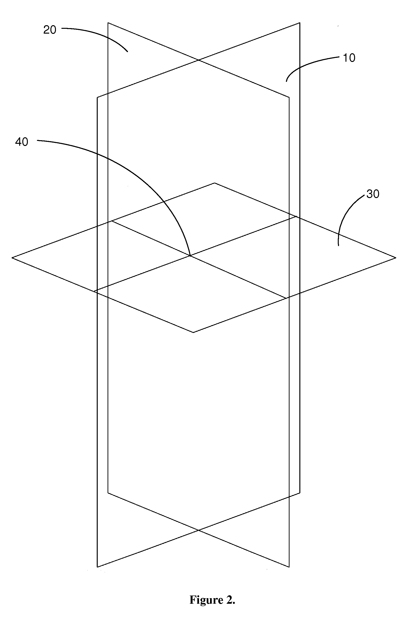 Cartesian human morpho-informatic system