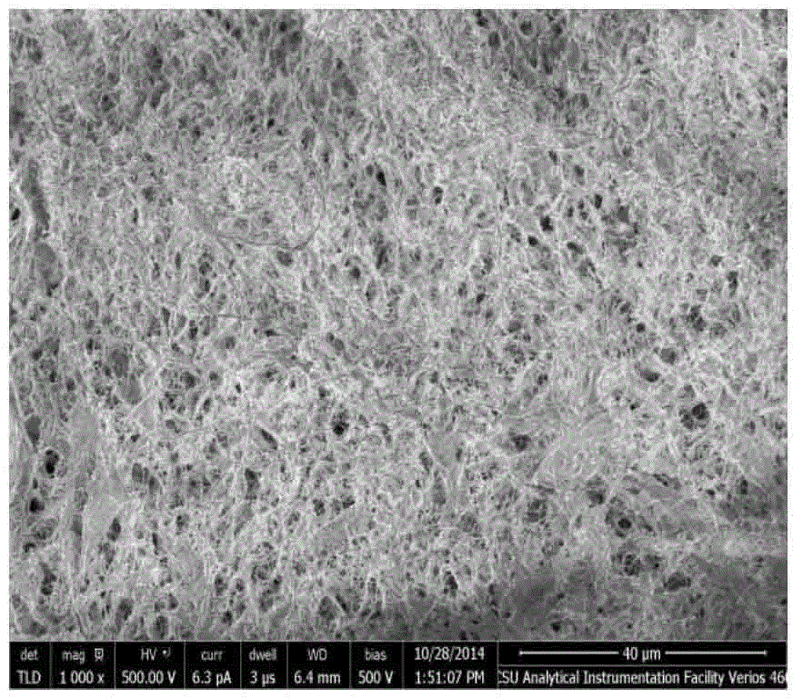 Nano cellulose based biological aerogel and preparation method and application thereof