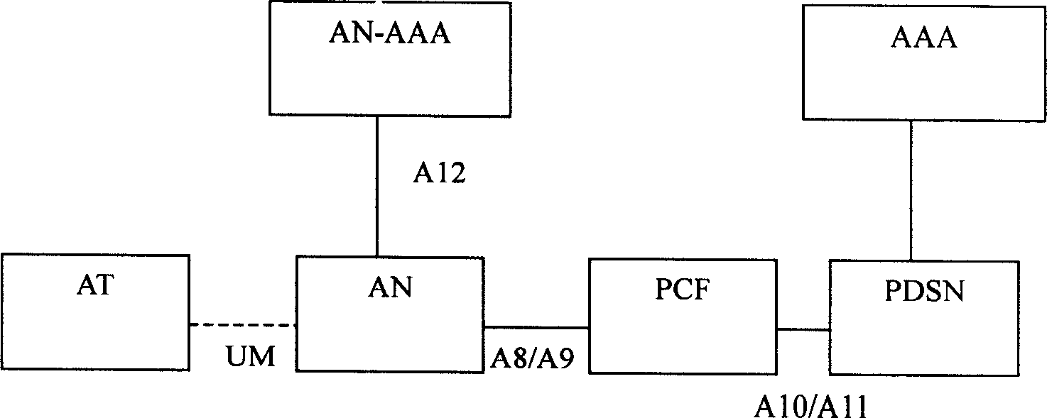 Service realizing system and method for access terminal