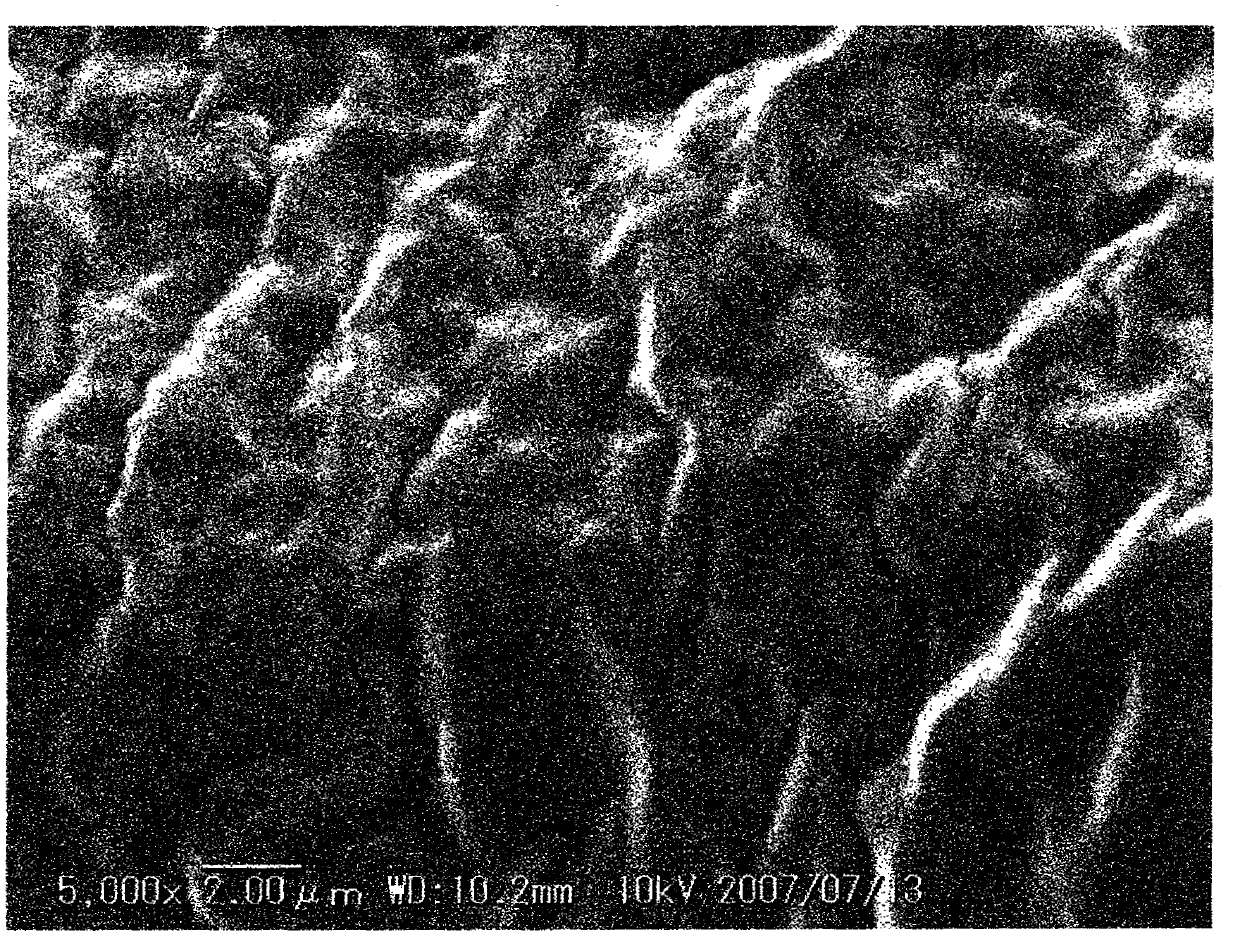 Porous water-containing gel molded article, method for producing same, and use of same