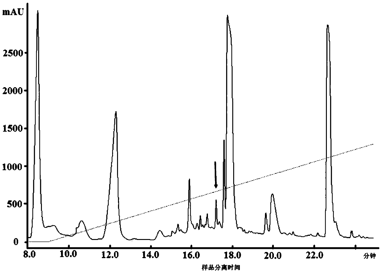 A kind of bursal heptapeptide for promoting vaccine immune response and its application