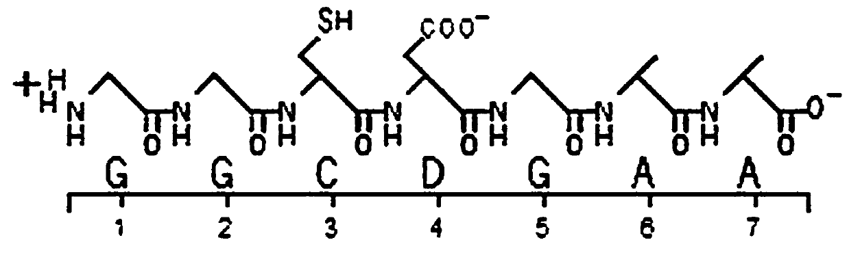 A kind of bursal heptapeptide for promoting vaccine immune response and its application