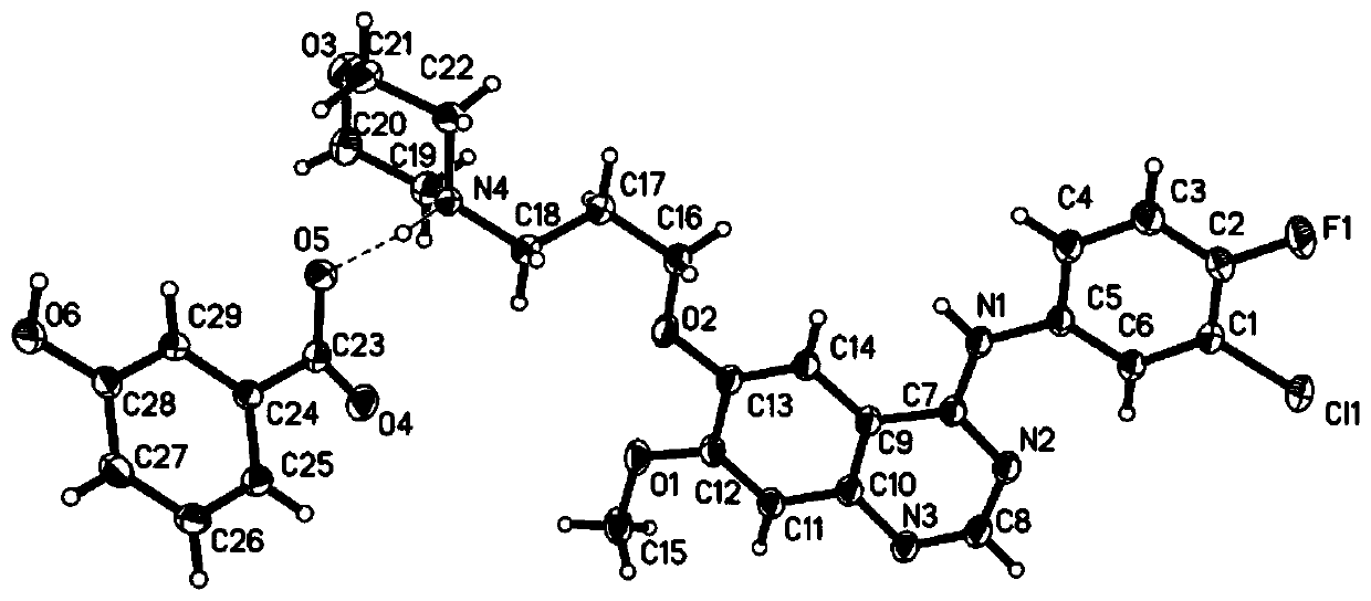 Gefitinib and 3-hydroxybenzoic acid eutectic