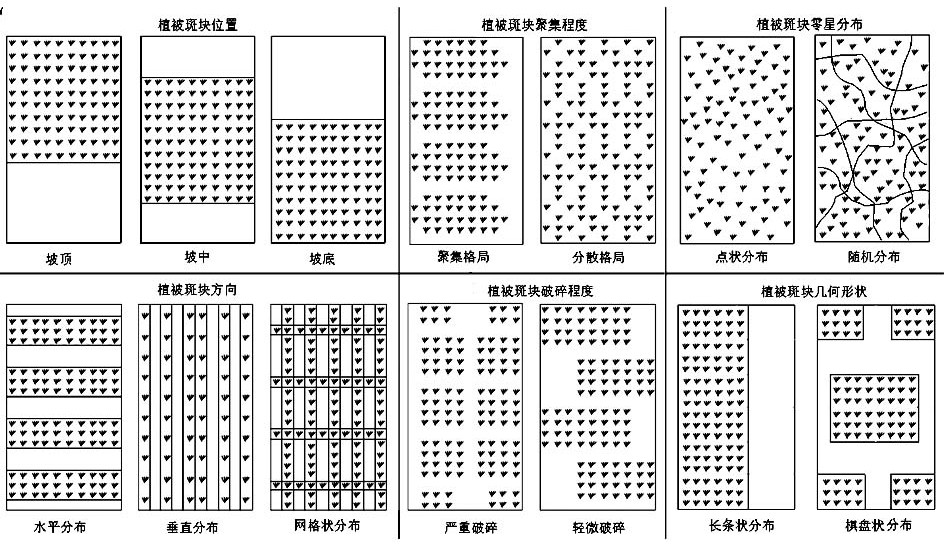 Riparian buffer zone water and soil conservation control method based on optimal vegetation pattern