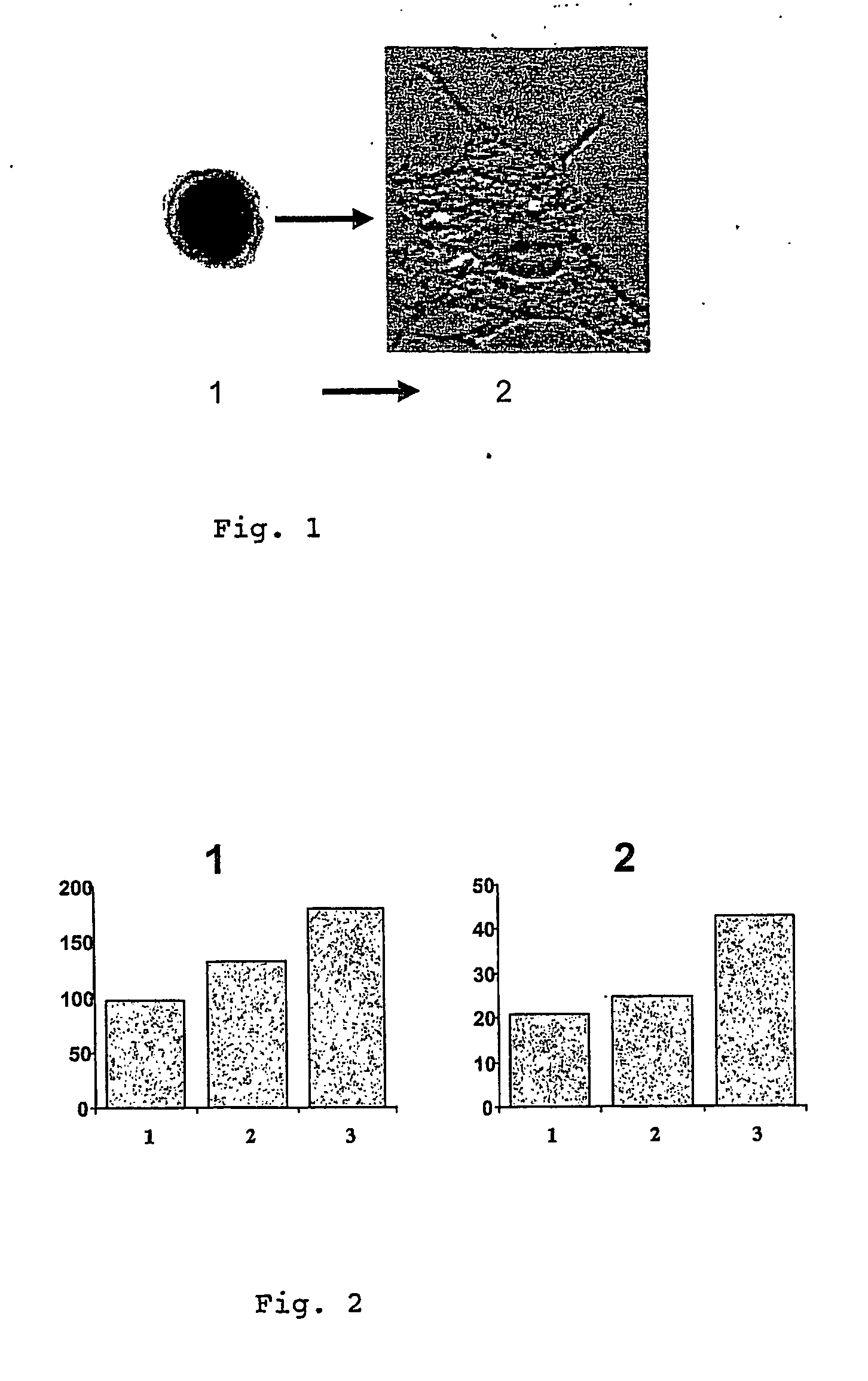 Pharmaceutical composition for the treatment and/or the prevention of atherosclerosis from infectious origin