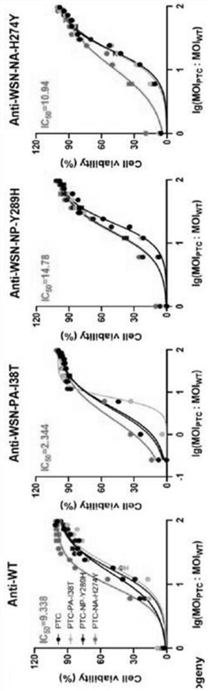 Replication-defective drug-resistant influenza virus and nucleic acid segment recombination rate detection method thereof