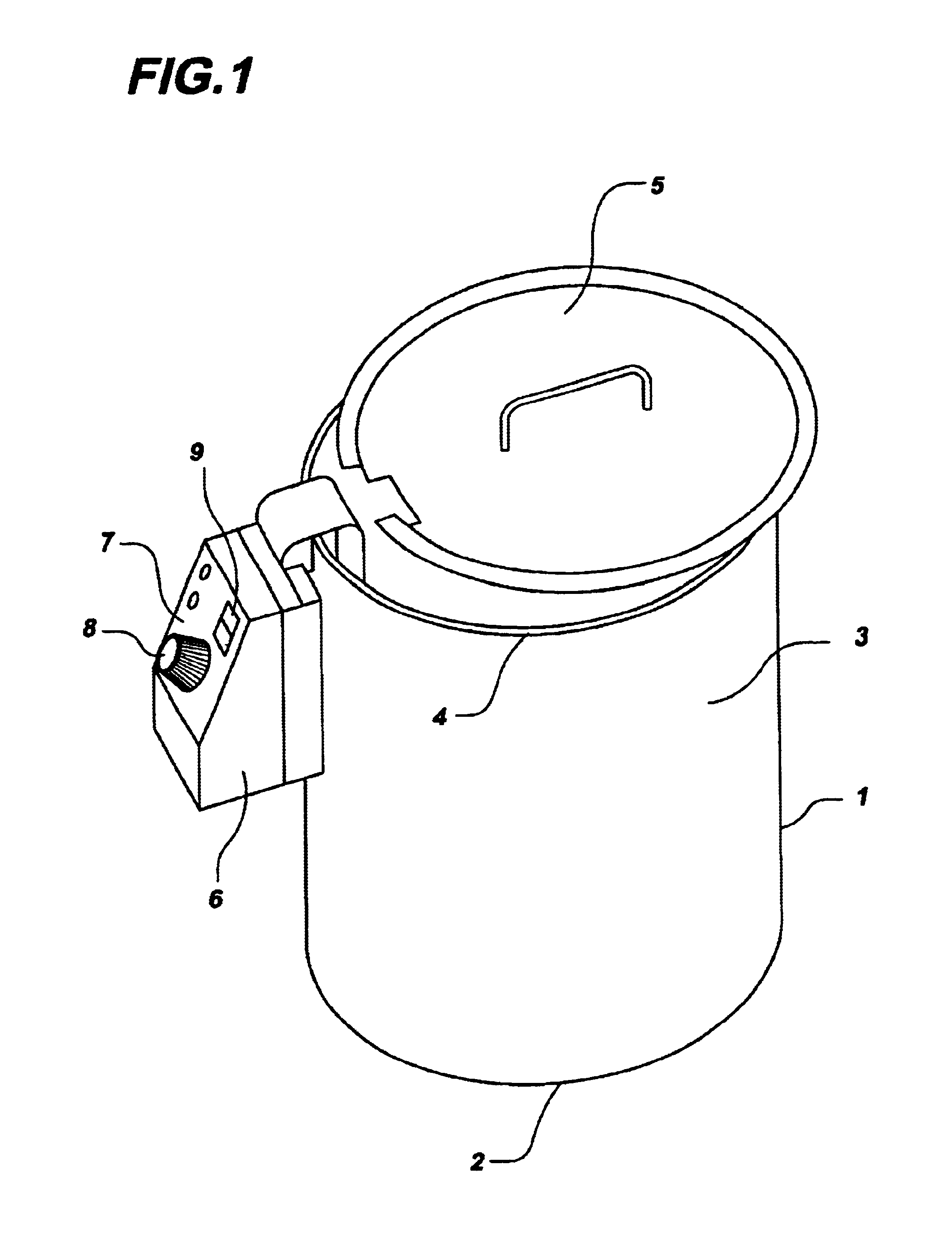 Electric fryer