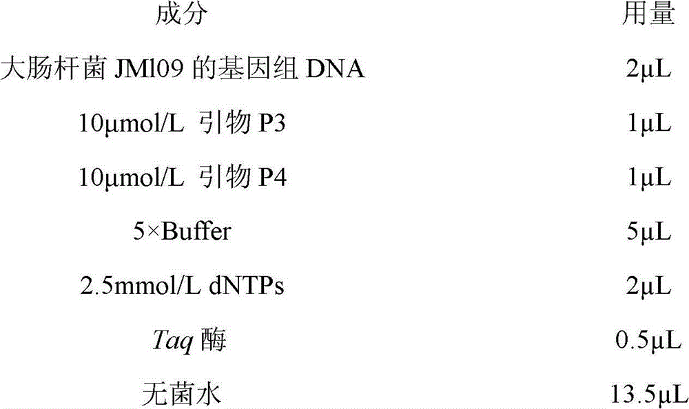 Method for building gene engineering strains of producing tryptophan