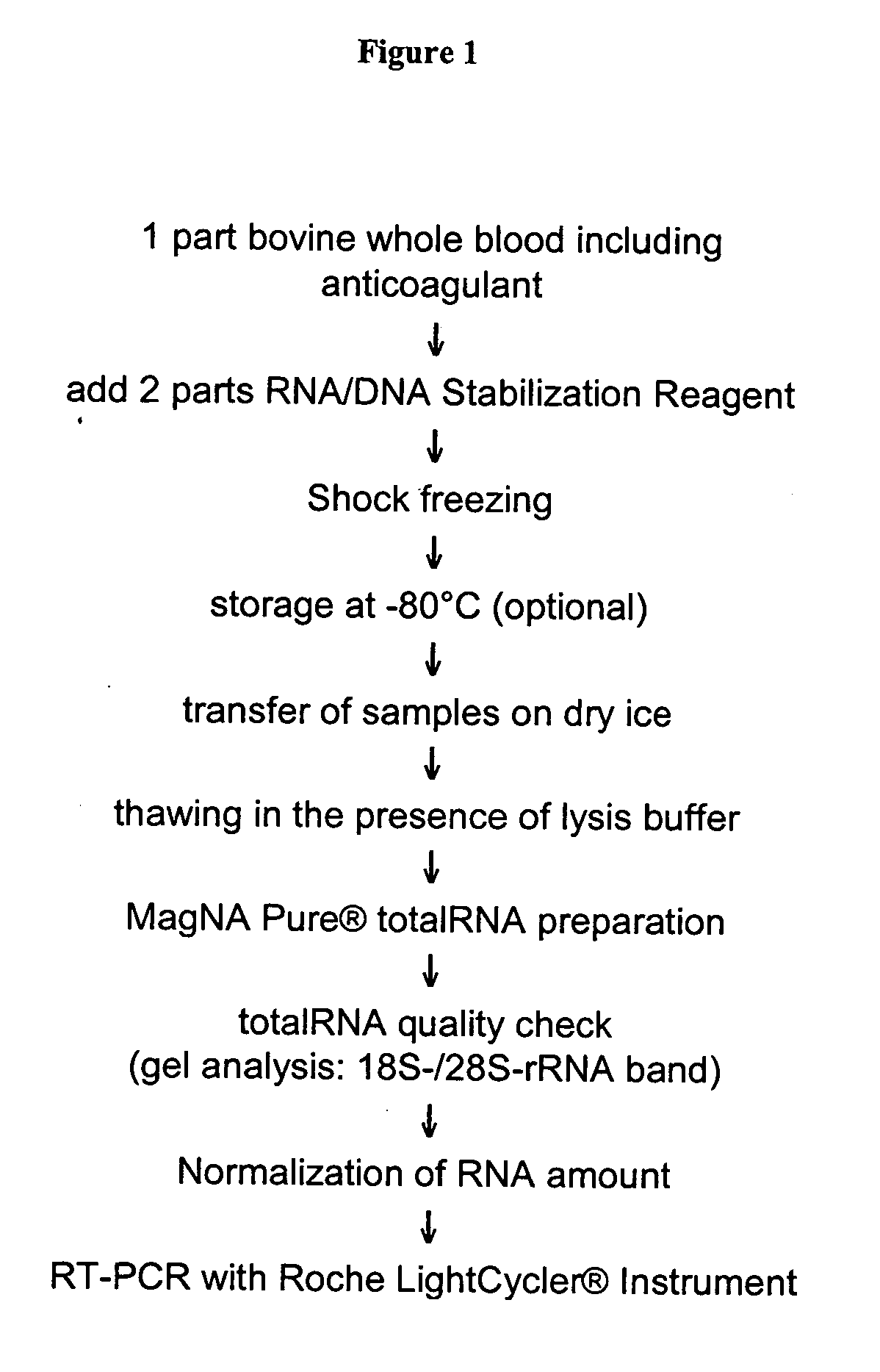 Nucleic acid preparation from whole blood for use in diagnosis of transmissible spongiform encephalopathy