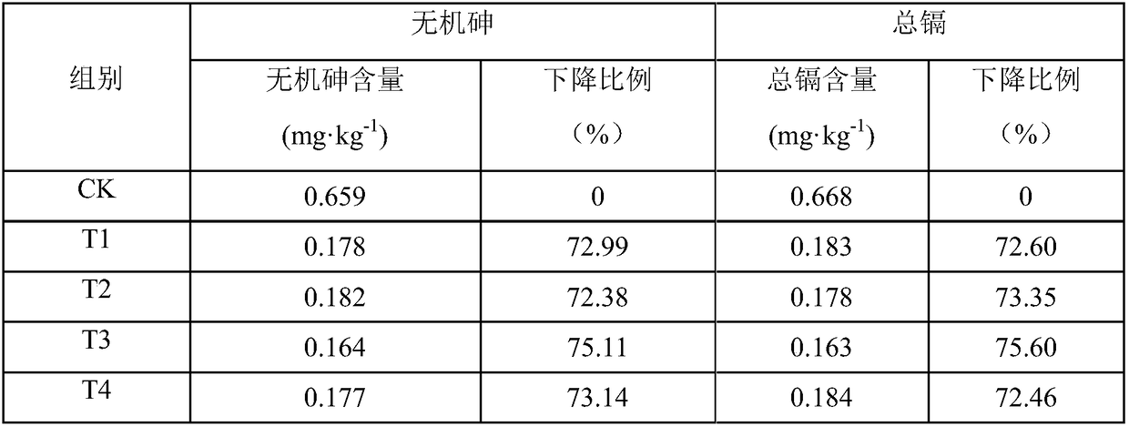 Modified bio-carbon and preparation method thereof