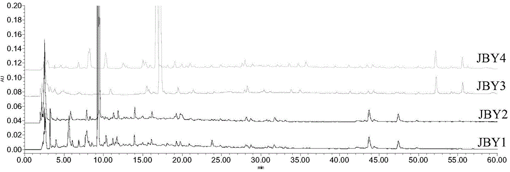 Creation method and detection method for fingerprint spectrum of compound holly bark preparation