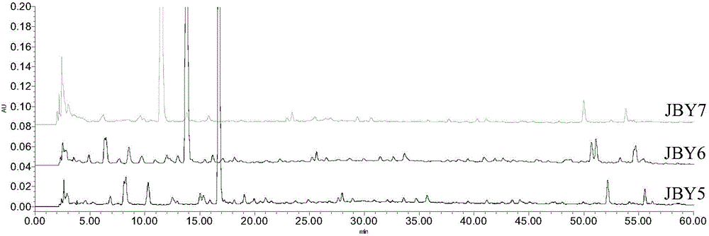 Creation method and detection method for fingerprint spectrum of compound holly bark preparation