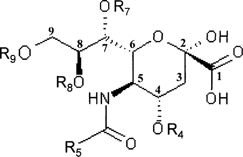 Nutrition replenisher containing sialic acid and its derivative