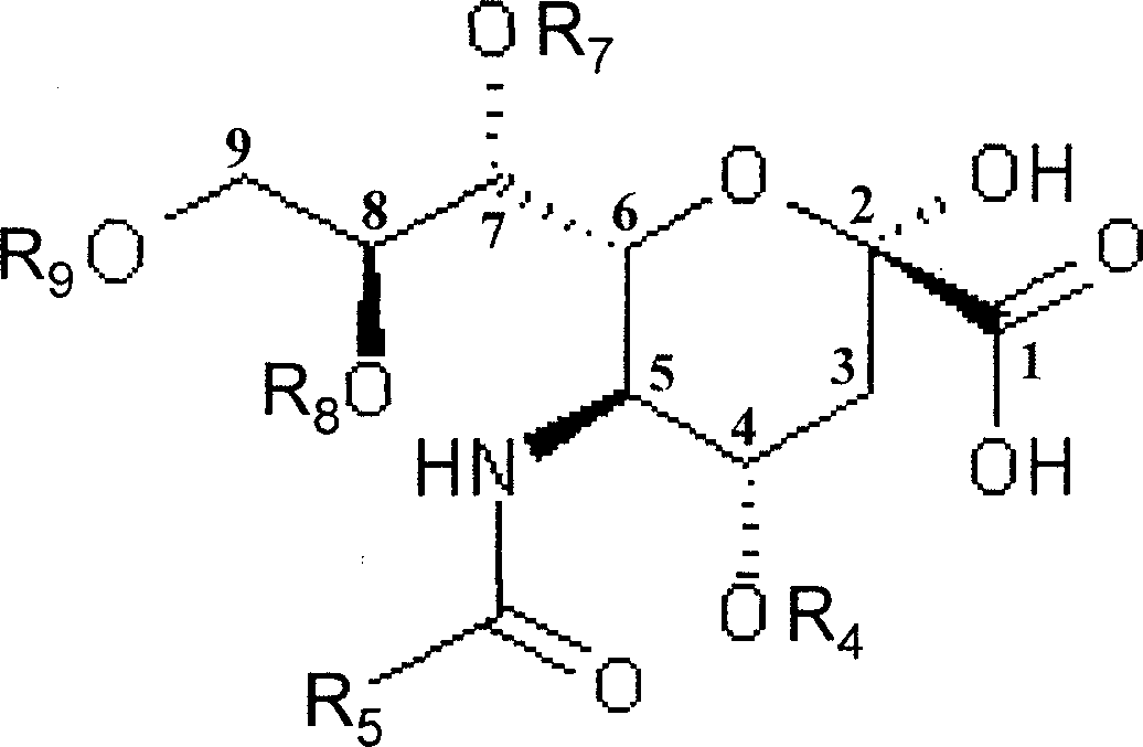 Nutrition replenisher containing sialic acid and its derivative