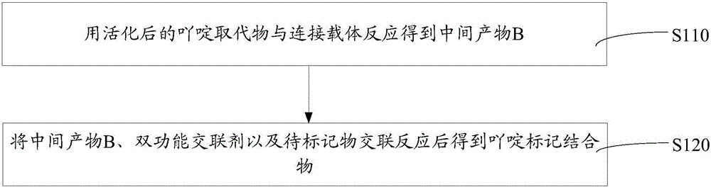 Acridine marker conjugate and preparation method thereof and chemiluminescence immunoassay kit