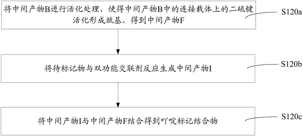 Acridine marker conjugate and preparation method thereof and chemiluminescence immunoassay kit