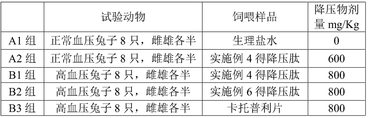 Preparation method of thais clayigera antihypertensive peptide