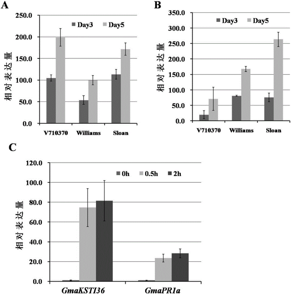 A kind of recombinant expression vector including Phytophthora inducible gene promoter and its application