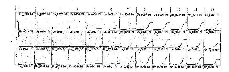 Method for rapidly determining drug tolerance of strain