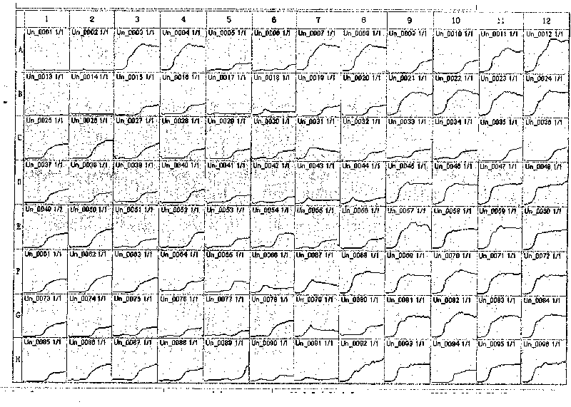 Method for rapidly determining drug tolerance of strain