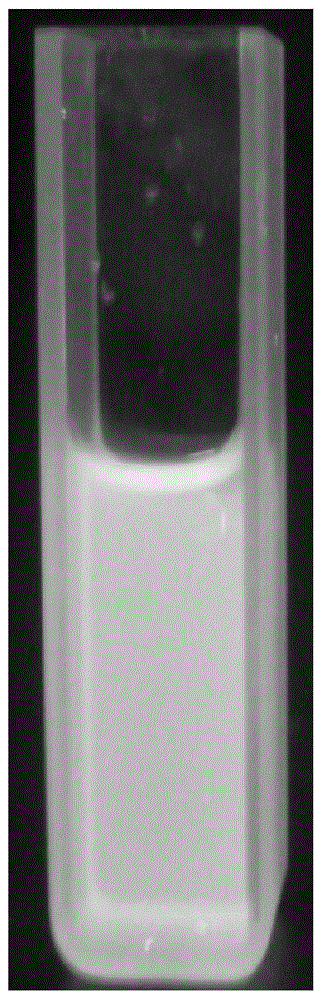 A kind of germanium nanocluster, its preparation method and use