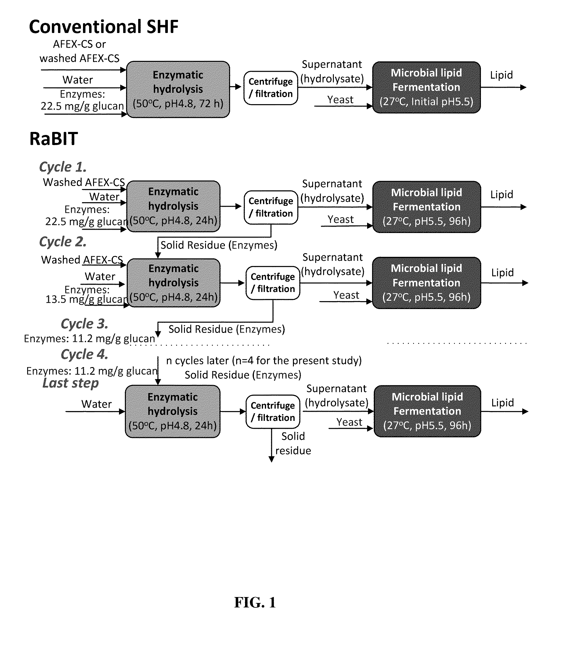 Methods and yeast strains for conversion of lignocellulosic biomass to lipids and carotenoids