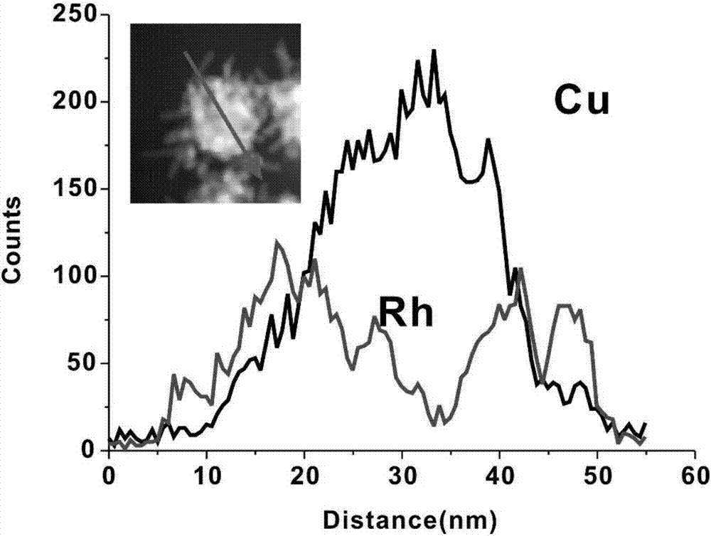 Preparation method for copper rhodium bimetal ramiform material