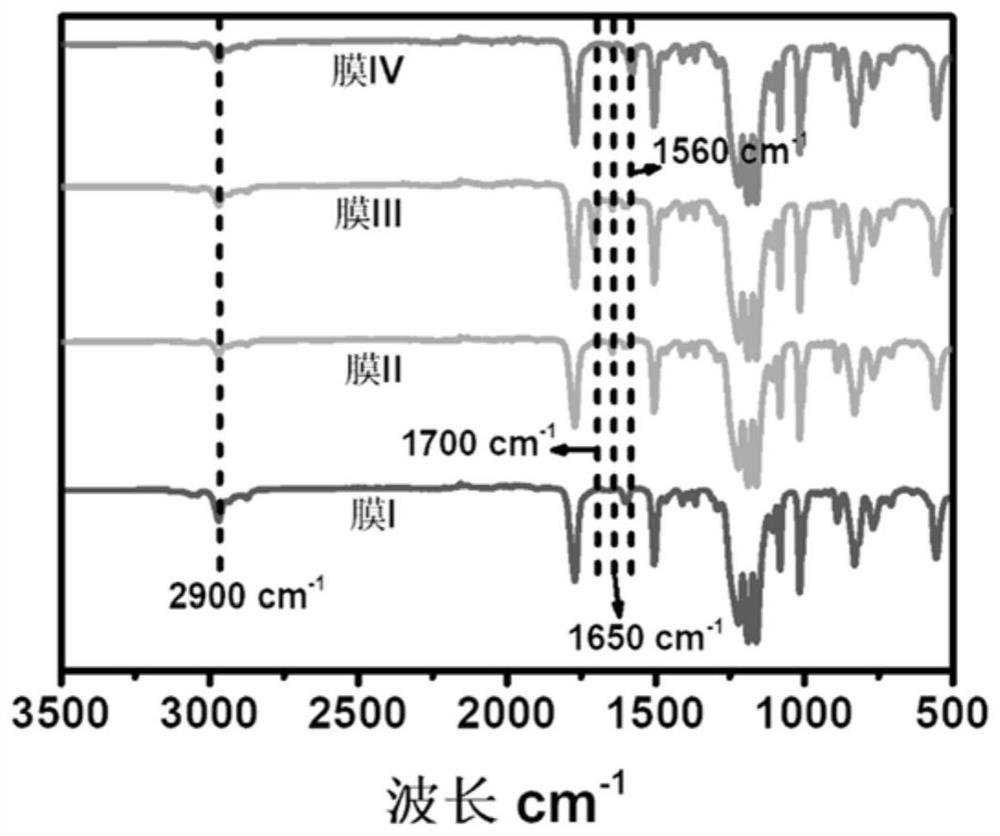 Construction method and application of interface catalytic oxidation film suitable for algae-water separation