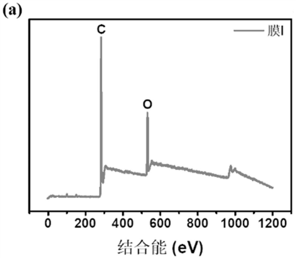 Construction method and application of interface catalytic oxidation film suitable for algae-water separation