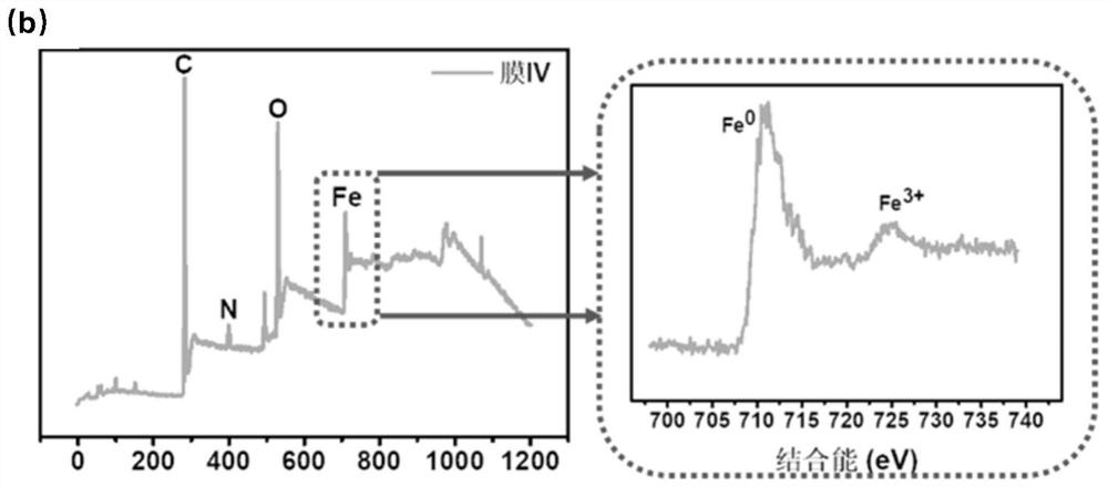 Construction method and application of interface catalytic oxidation film suitable for algae-water separation