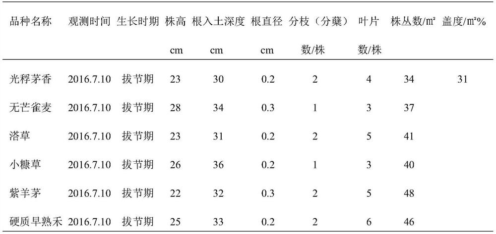 Lawn planting method in typical grassland area