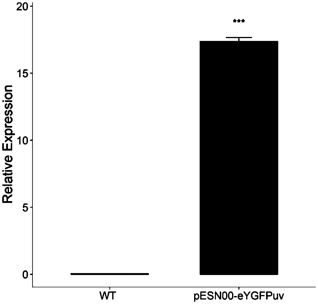 Multifunctional plant expression vector as well as construction method and application thereof