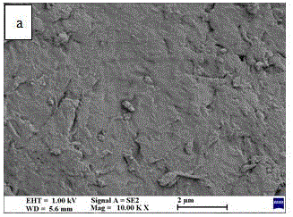 Rhodamine B-grafted chitosan adsorbent and preparation and application thereof