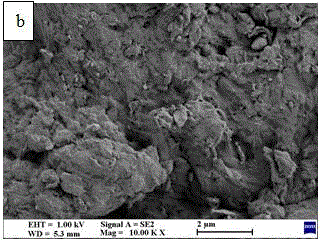 Rhodamine B-grafted chitosan adsorbent and preparation and application thereof