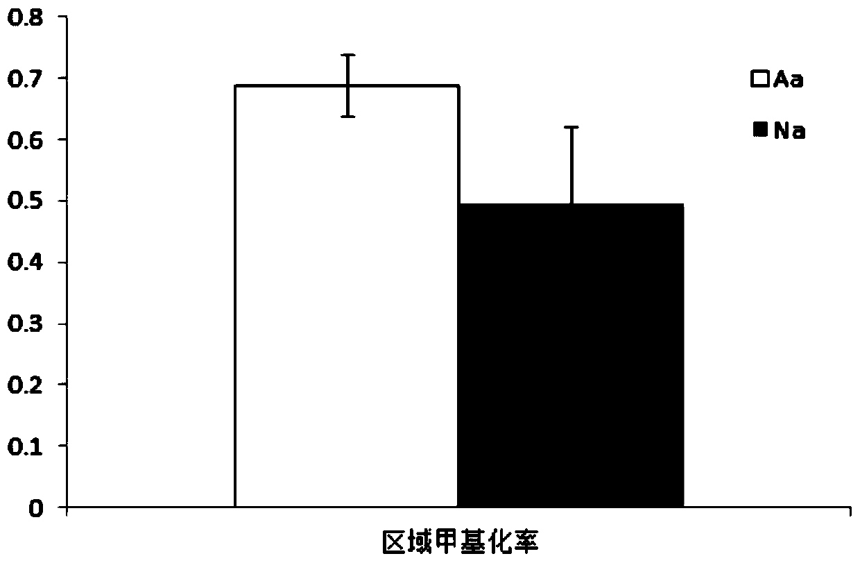 Application of CDR1 gene methylation in asthenozoospermia diagnostic agent and kit