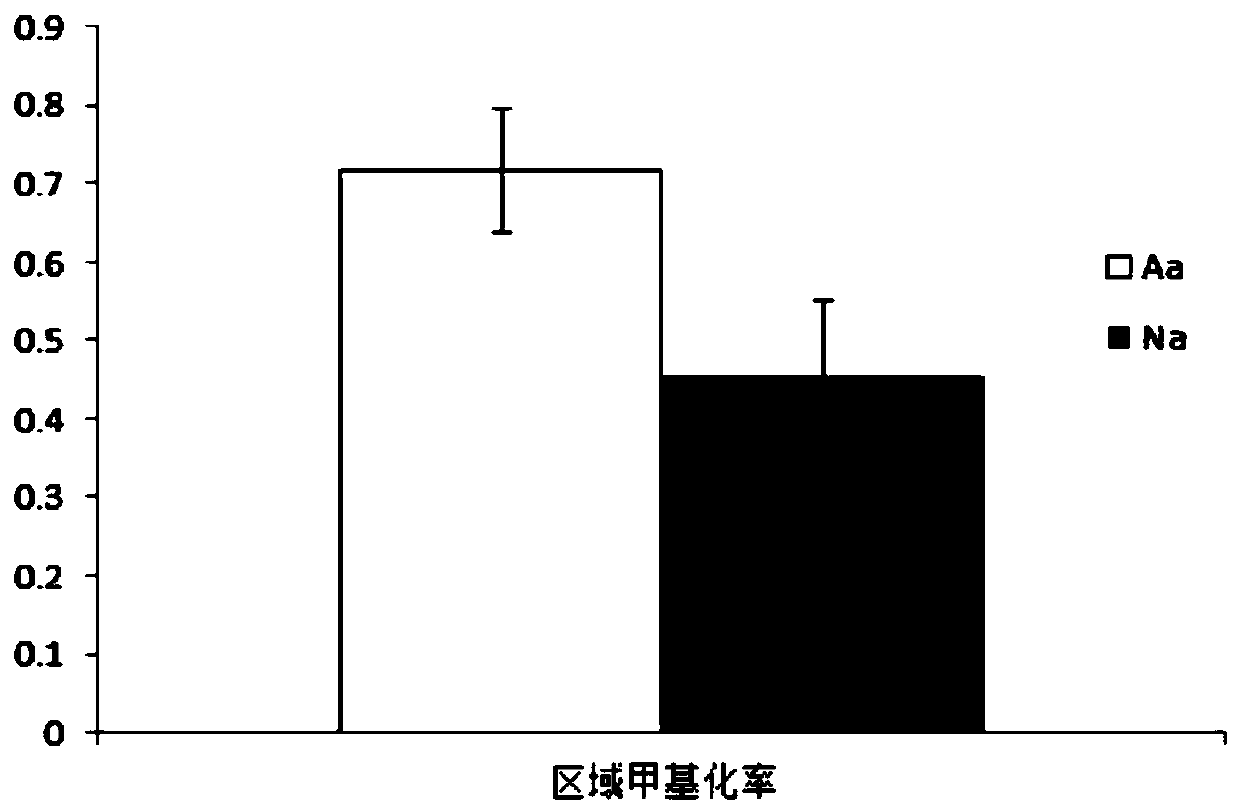 Application of CDR1 gene methylation in asthenozoospermia diagnostic agent and kit