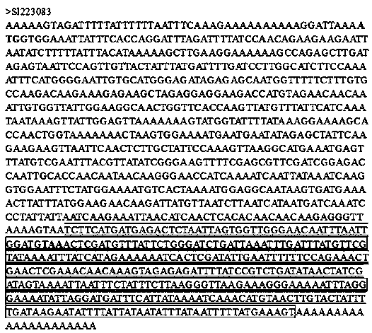 Tomato fruit maturing gene S10658 and application thereof