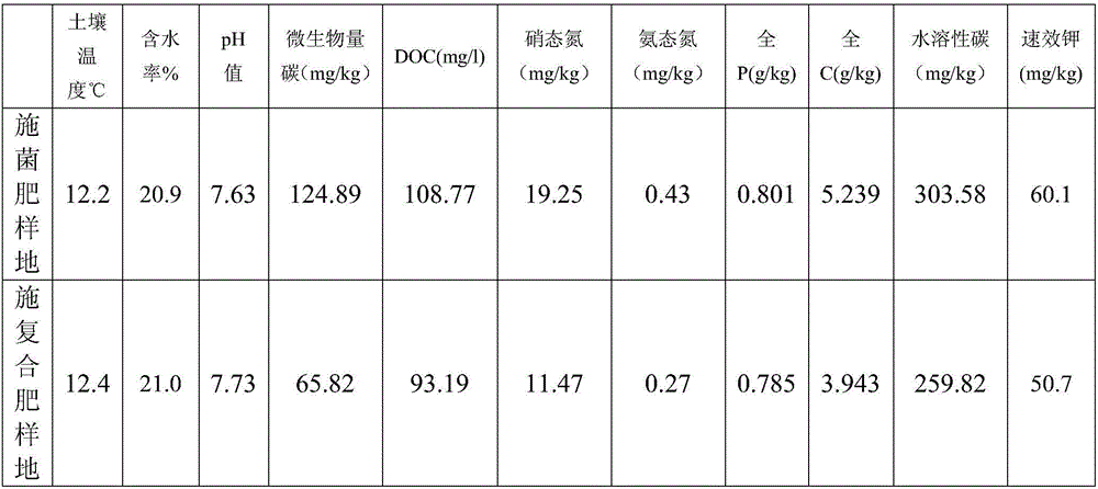 Bacterial fertilizer for increasing budding rate of tea trees and preparation method of same