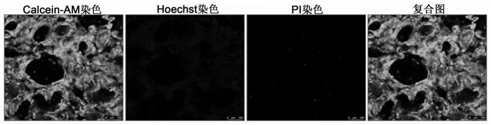 Functional bone repair composite scaffold, preparation method and application