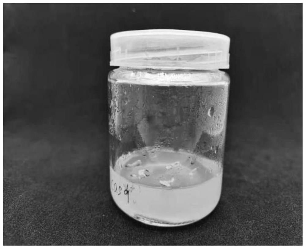 Efficient genetic transformation method of brassica juncea based on agrobacterium-mediated method